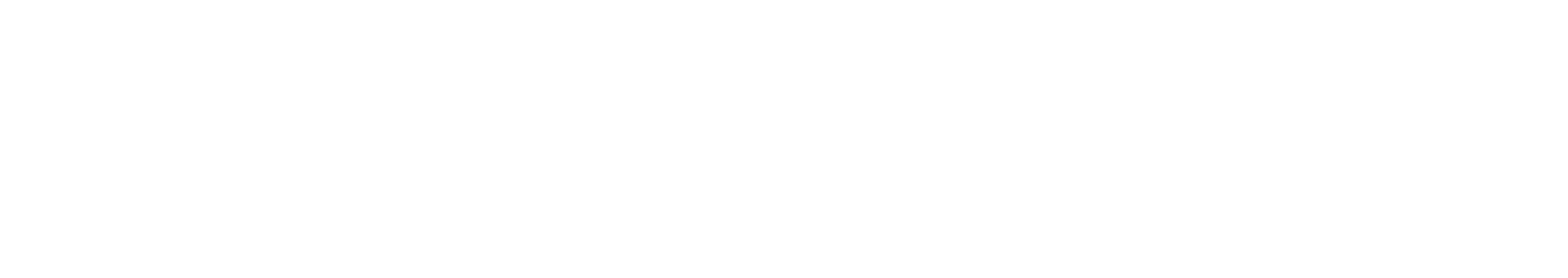 Türtscher Fahrzeug-Technik Logo